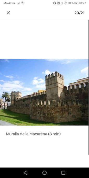 סביליה Apartamento En El Casco Antiguo Junto Alameda H. מראה חיצוני תמונה
